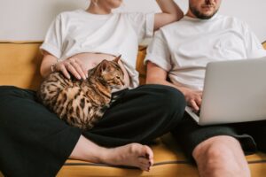 Pregnant woman with a man and cat looking at a laptop screen