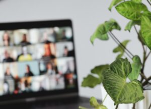An online meeting on a laptop next to a green houseplant